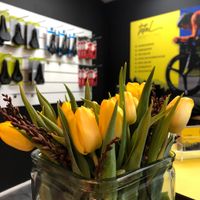 Gele Tulpen voor Total Bikefitting